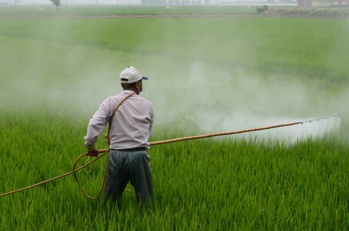 ​Bayer s'offre Monsanto pour 66 milliards de dollars