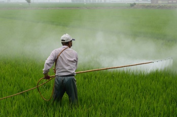 ​Bayer s'offre Monsanto pour 66 milliards de dollars