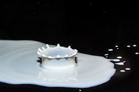 Lactalis va rappeler toutes les boîtes de lait produites à Craon