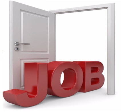 Une offre du site de Pôle Emploi sur deux est-elle irrégulière ?