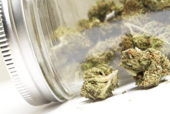 Shutterstock/economiematin Shutterstock/economiematin