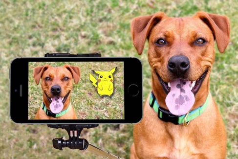 L’action Nintendo chute malgré Pokémon GO