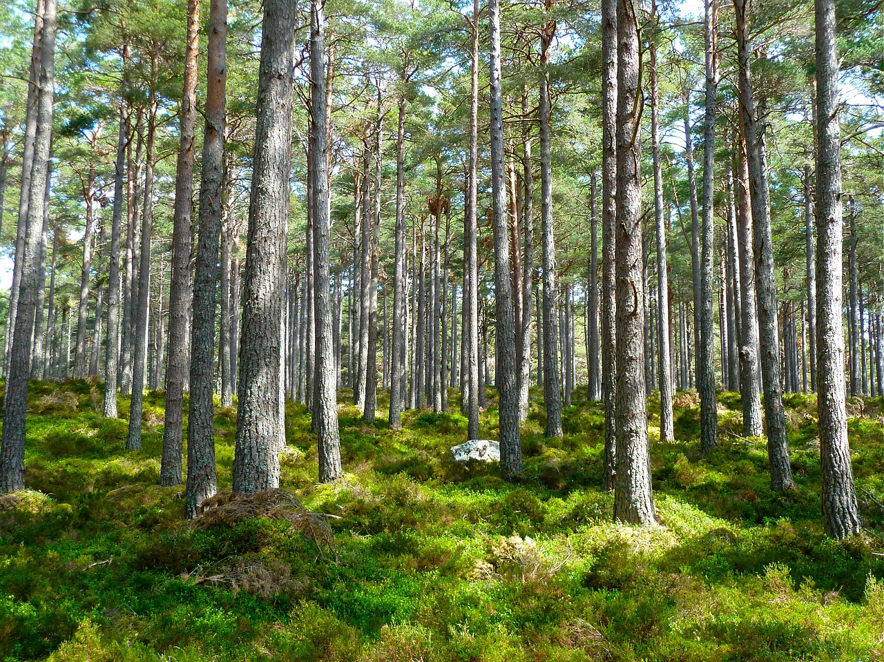 La France va entrer en déficit écologique, prévient le WWF