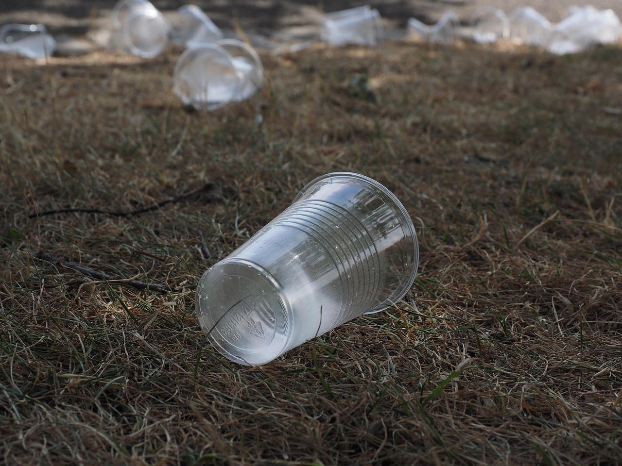 L'interdiction des couverts et des contenants en plastique votée par l'Assemblée