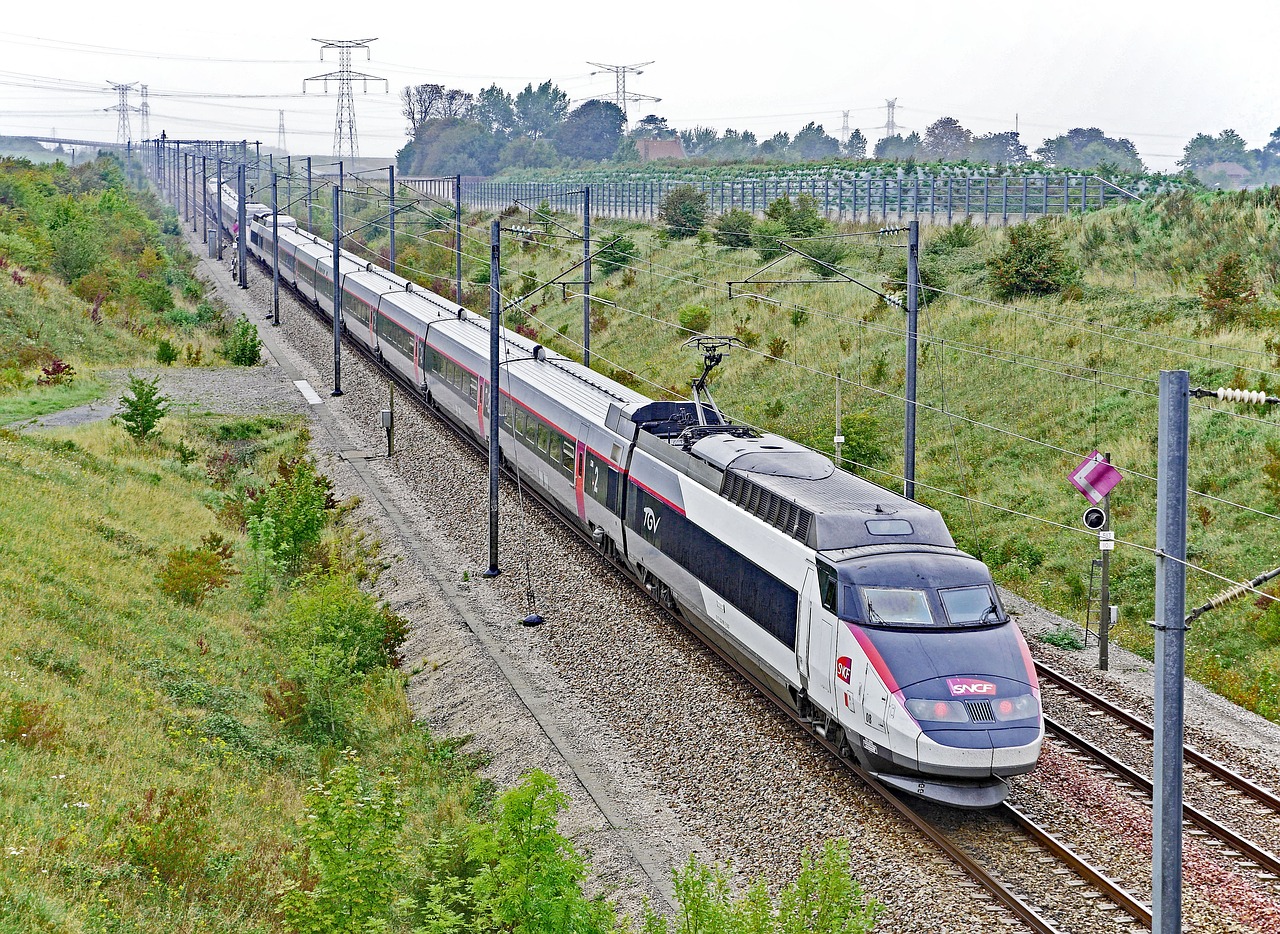 Retards, annulations : mauvaise année 2018 pour les TGV
