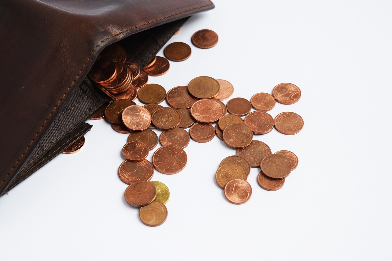 Liquidation judiciaire de Caddie : des difficultés à payer les salaires Liquidation judiciaire de Caddie : des difficultés à payer les salaires