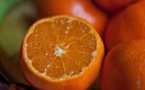 Les prix du jus d’orange vont augmenter
