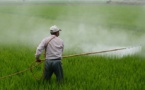 ​Bayer s'offre Monsanto pour 66 milliards de dollars