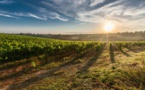 Un homme d’affaires sud-américain s’offre 20% du domaine Petrus