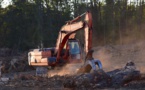 35 sociétés françaises accusées de ne pas être transparentes sur leur rôle environnemental