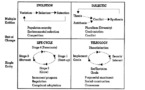 La typologie du changement d’Andrew Van de Ven et Marshall Scott Poole