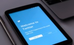 L'abonnement Twitter Blue est-il un échec ?