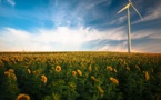 Énergies renouvelables : un soutien financier porteur pour l'État