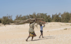 COP21 : la France augmente son aide aux pays africains