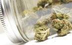 ​Cannabis : un marché de 6,7 milliards aux Etats-Unis