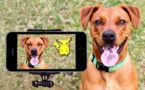 L’action Nintendo chute malgré Pokémon GO